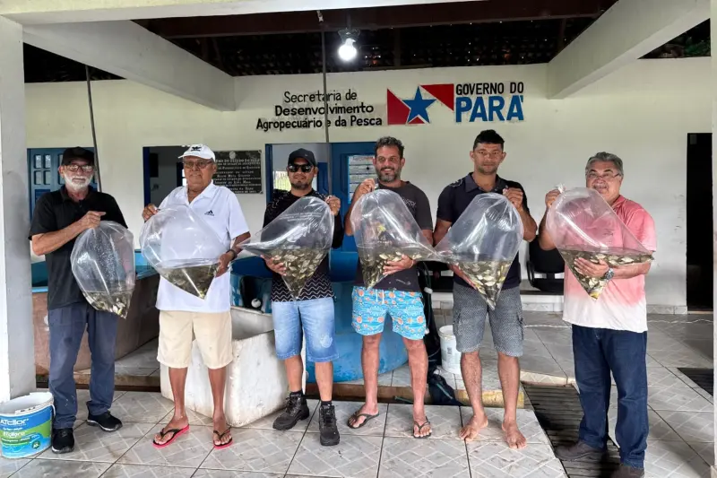 notícia: Estado fortalece aquicultura no oeste paraense com entrega de 400 mil alevinos e movimenta mais de R$ 15 milhões na economia