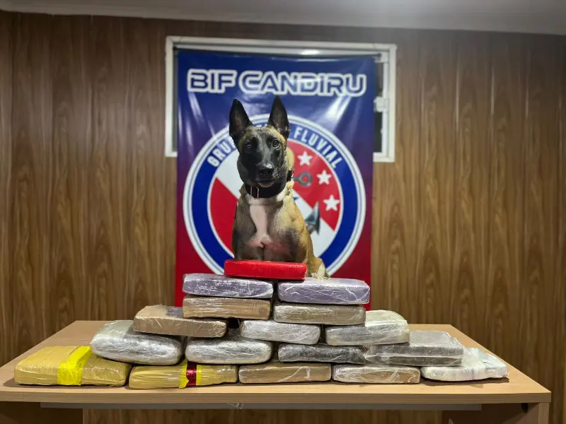 notícia: Agentes da Base Candiru apreendem mais de 17kg de entorpecentes em fiscalização 