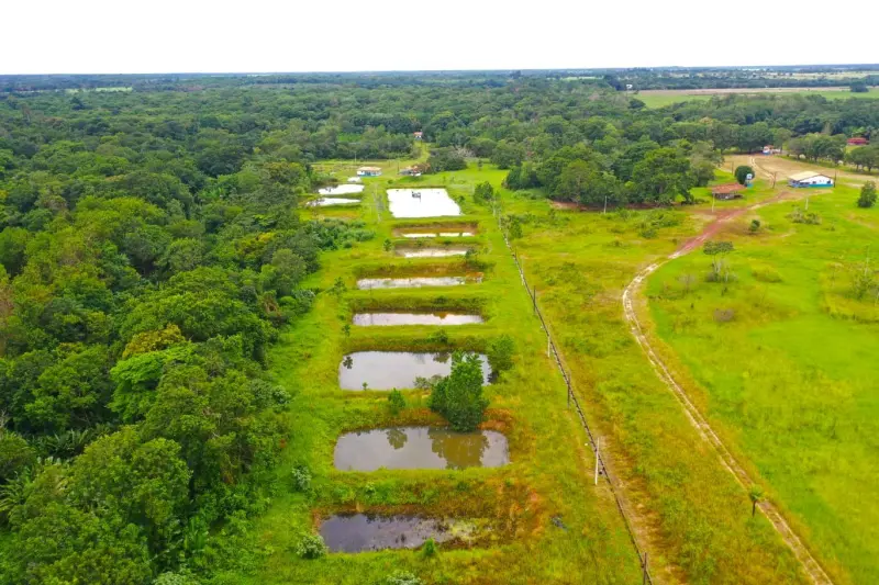 notícia: Nova Estação de Alevinagem de Terra Alta já gera benefícios para piscicultores