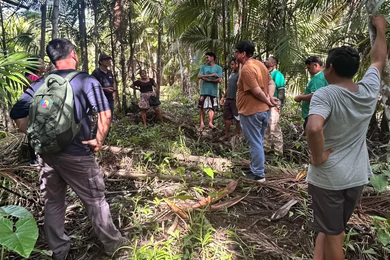 notícia: Governo britânico financiará programa piloto para impulsionar atividades sustentáveis na Amazônia