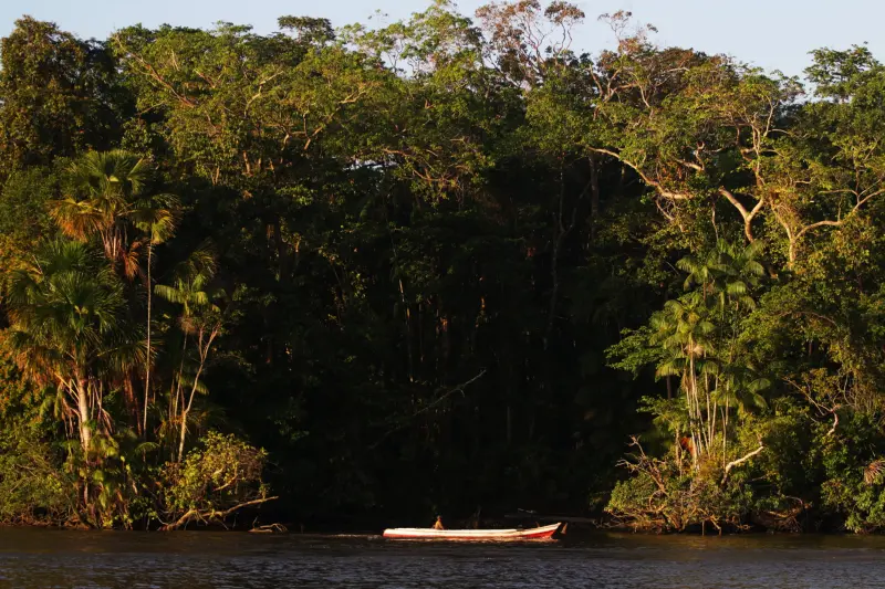 notícia: Pará registra redução de quase 30% das emissões de gases poluentes nos últimos 20 anos