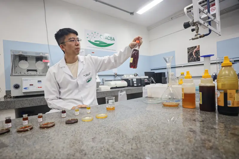 notícia: Pesquisa mostra potencial medicinal do 'mel de açaí e do uso sustentável da biodiversidade 