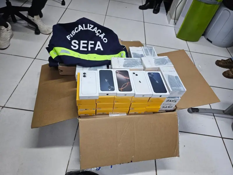 notícia: Fiscais da Sefa apreendem mais de R$ 1,2 milhão em mercadorias irregulares no sul e nordeste do Pará