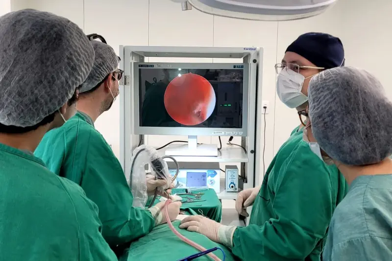 notícia: Hospital da Mulher do Pará realiza primeira neurocirurgia com técnica menos invasiva