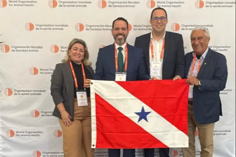 notícia: Pará recebe reconhecimento histórico de área livre de febre aftosa sem vacinação