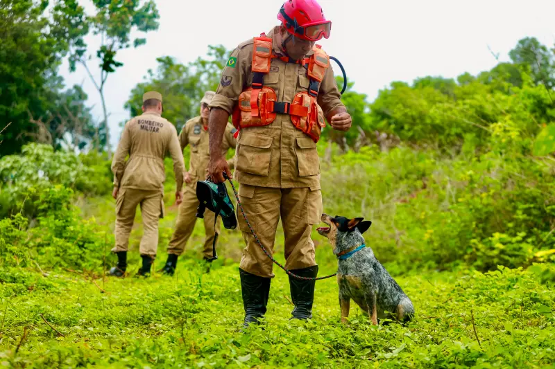 notícia: Corpo de Bombeiros é estratégico em diversas frentes de atendimentos à população