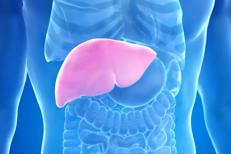 notícia:  Hepatites virais são porta de entrada para o câncer de fígado, alerta oncologista do HOL