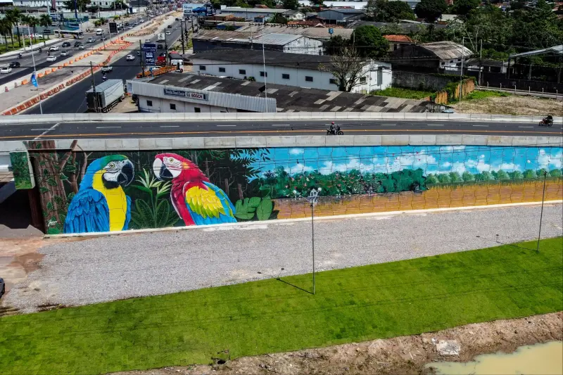 notícia: Pinturas dos novos viadutos entregues pelo Governo do Estado exaltam fauna e flora amazônica