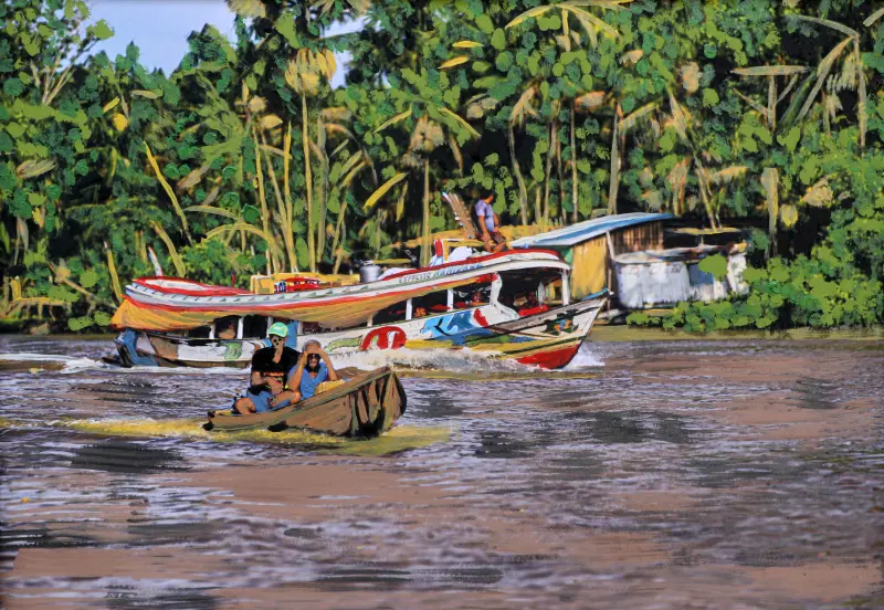 notícia: Palacete Faciola recebe exposição Amazônia Líquida, Especial COP 30 nesta quinta-feira (29)