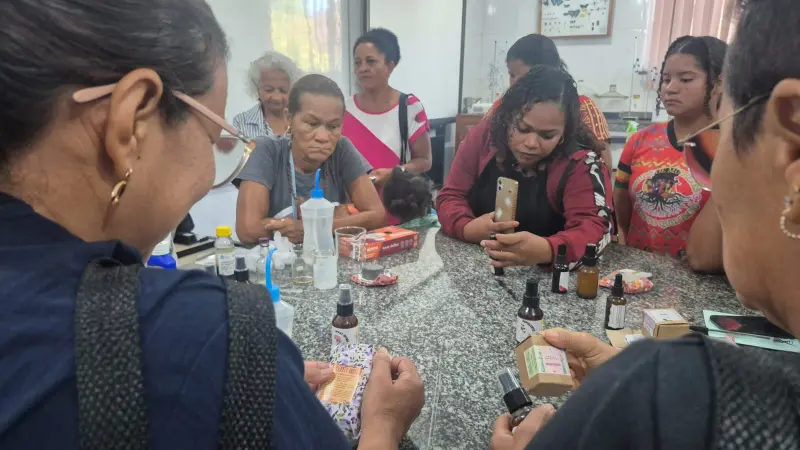 notícia: Ideflor-Bio lança projeto de manejo medicinal com comunidades quilombolas do Marajó