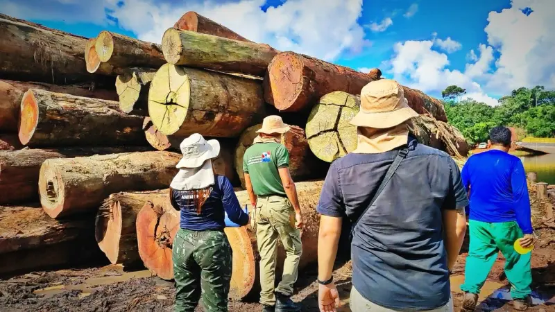 notícia: Em Juruti, Semas apreende mais de 4 mil metros cúbicos de madeira em fiscalização
