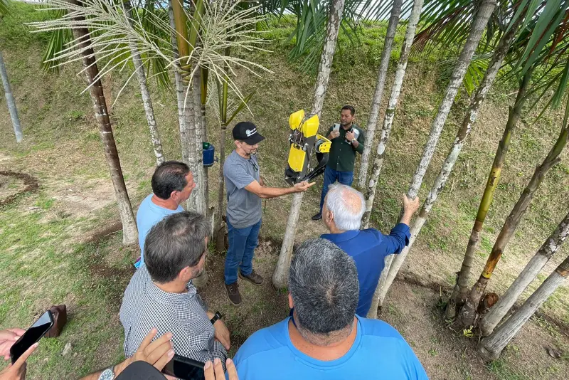 notícia: Belém terá Festival Internacional Açaí Pará – Edição COP 30, de 12 a 14 deste mês