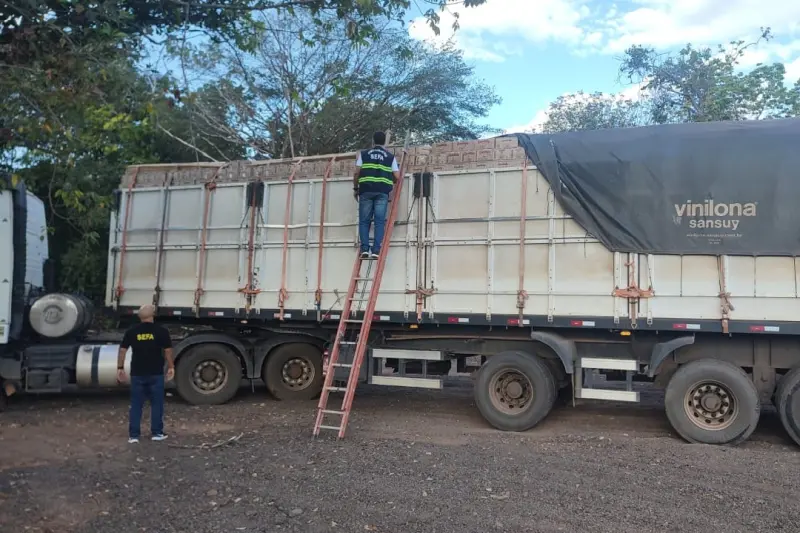 notícia: Sefa apreende carga com 25 toneladas de açaí e quase 77 mil garrafas de aguardente no Pará