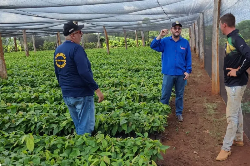 notícia: Pará sedia evento nacional sobre insumos agropecuários