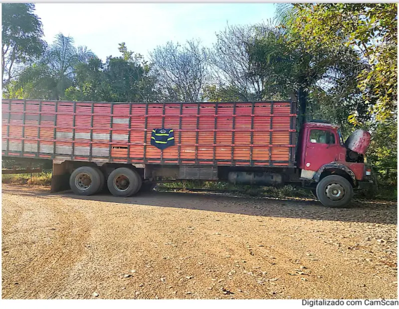 notícia: Secretaria de Estado da Fazenda (Sefa) apreende combustível, gado e peças de motos 