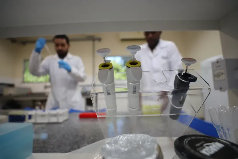 notícia: Laboratório impulsiona conservação ambiental e bioeconomia na Amazônia com pesquisas inovadoras