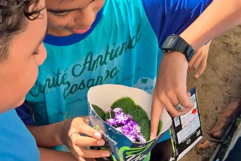 notícia: Cosanpa constrói horta vertical em escola estadual