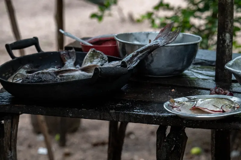 notícia: Gastronomia e sustentabilidade se unem em comunidades da Floresta Estadual do Trombetas
