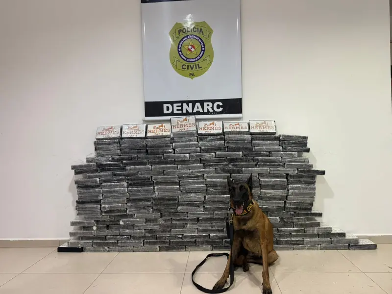 notícia: Polícia Civil apreende 200 tabletes de cocaína escondidos em carga de milho no Pará