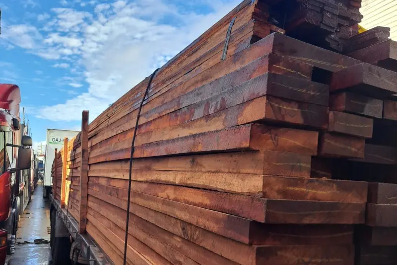 notícia: Fiscalização da Base Antônio Lemos apreende mais de 24 metros cúbicos de madeira irregular