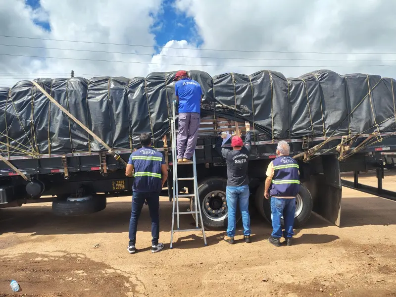 notícia: Toneladas de açaí e resina termoplástica são apreendidas pela Sefa em Cachoeira do Piriá
