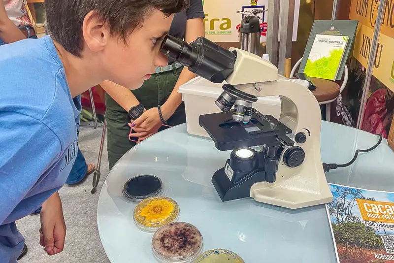 notícia: Instituições acadêmicas participam do Chocolate Xingu e unem ciência com sabor