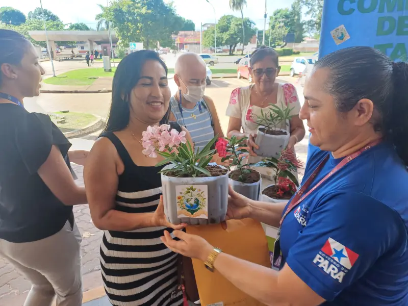 notícia: Em Santarém, Hospital Regional doa mudas de plantas para pacientes e acompanhantes
