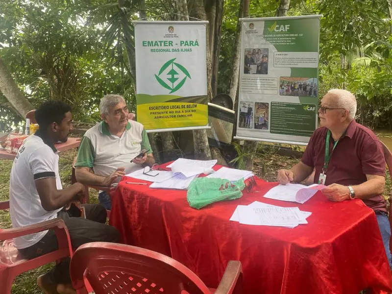 notícia: Emater contribui para melhor produtividade rural de jovens na região das Ilhas de Belém 