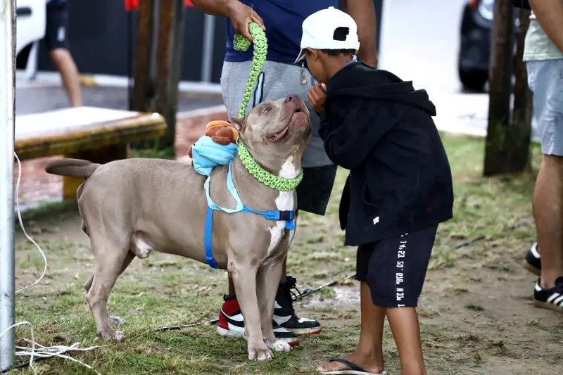 notícia: Segunda ação ‘Bicho é Cultura’ promove lazer e serviços gratuitos em Icoaraci 