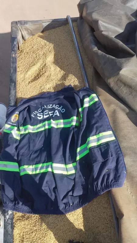 notícia: Sefa apreende peças de motos, lâmpadas de led e 38 toneladas de arroz 