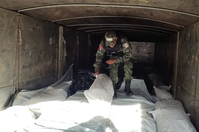 notícia: No Marajó, fiscalização da Base Antônio Lemos apreende 5 toneladas de pescado irregular