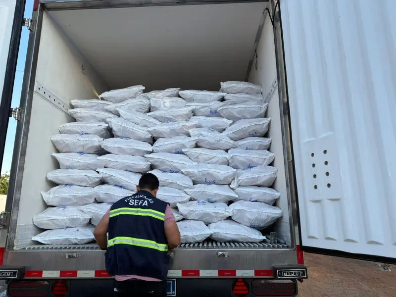 notícia: Secretaria da Fazenda (Sefa) apreende retroescavadeira e 30 toneladas de pescado