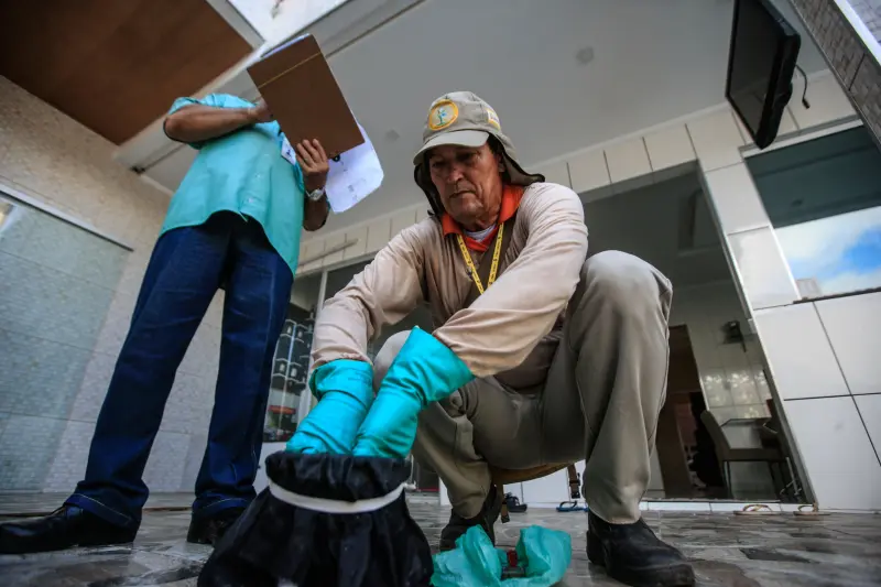 notícia: Período de calor intenso exige atenção redobrada para evitar arboviroses