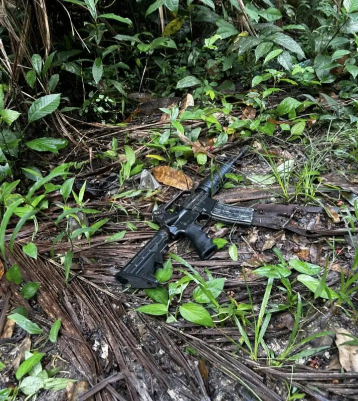 notícia: PM apreende fuzil e munições em operação na área de mata no Paracuri II, em Belém 
