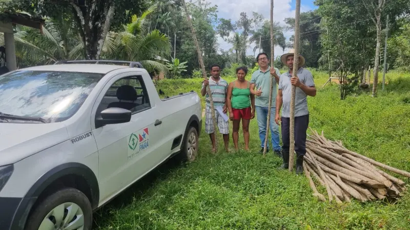 notícia: Emater incentiva plantio sustentável de pimenta-do-reino e pitaia em Augusto Corrêa 