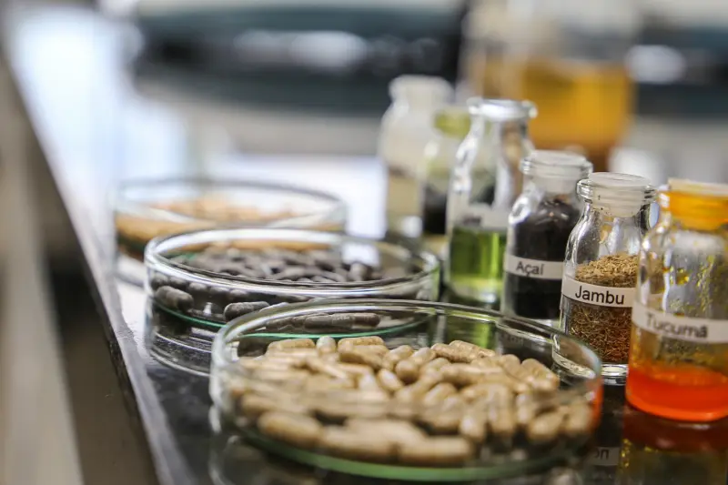 notícia: Encontro vai debater estratégias de desenvolvimento sustentável na Amazônia