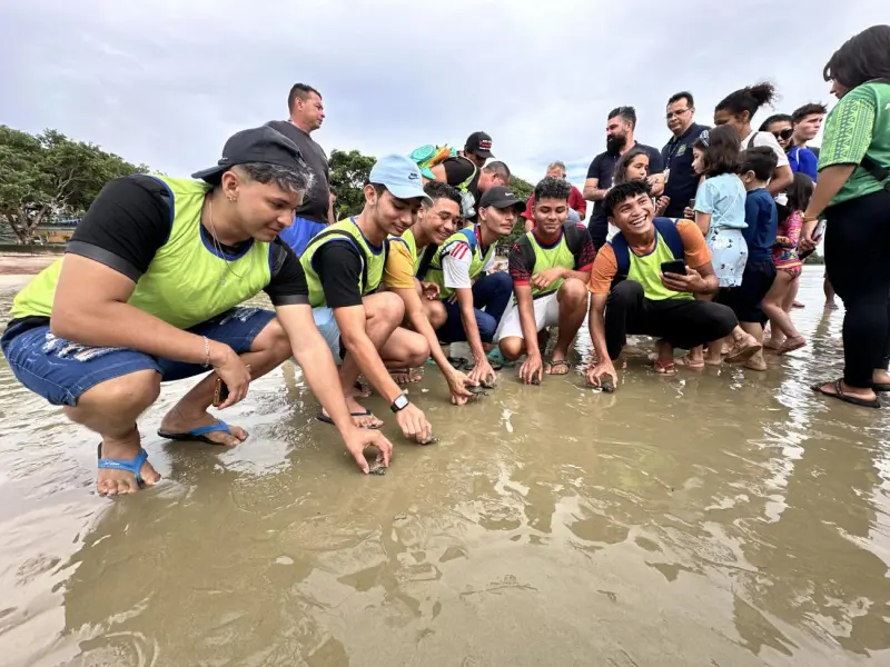 notícia: Soltura de 130 quelônios em Salvaterra é ação ambiental da Operação Verão 2025