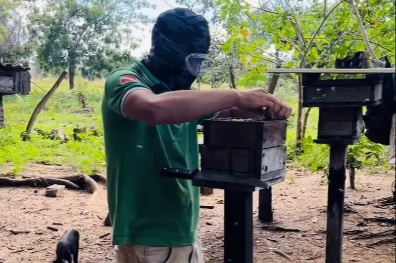 notícia: Ideflor-Bio retoma assistência técnica a meliponicultores na APA Paytuna, em Monte Alegre