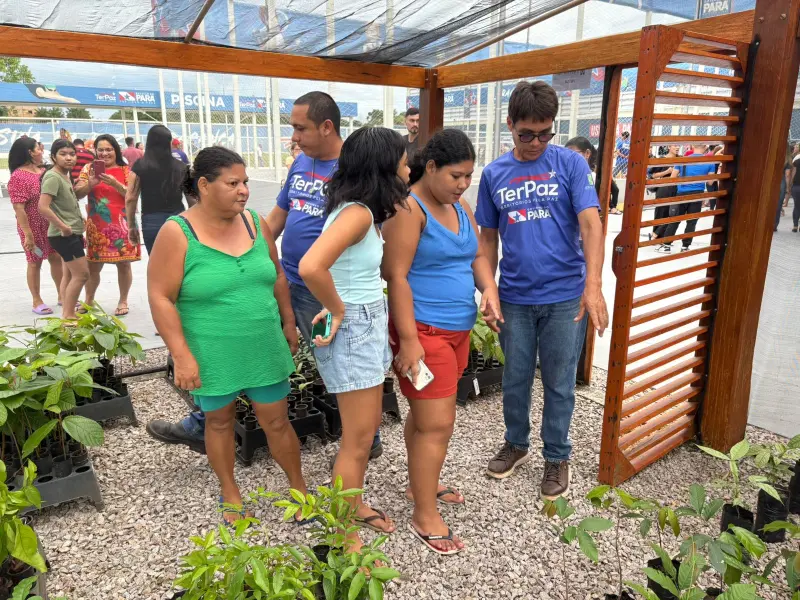 notícia: Ideflor-Bio entrega viveiro com capacidade para 600 mudas na Usina da Paz de Bragança