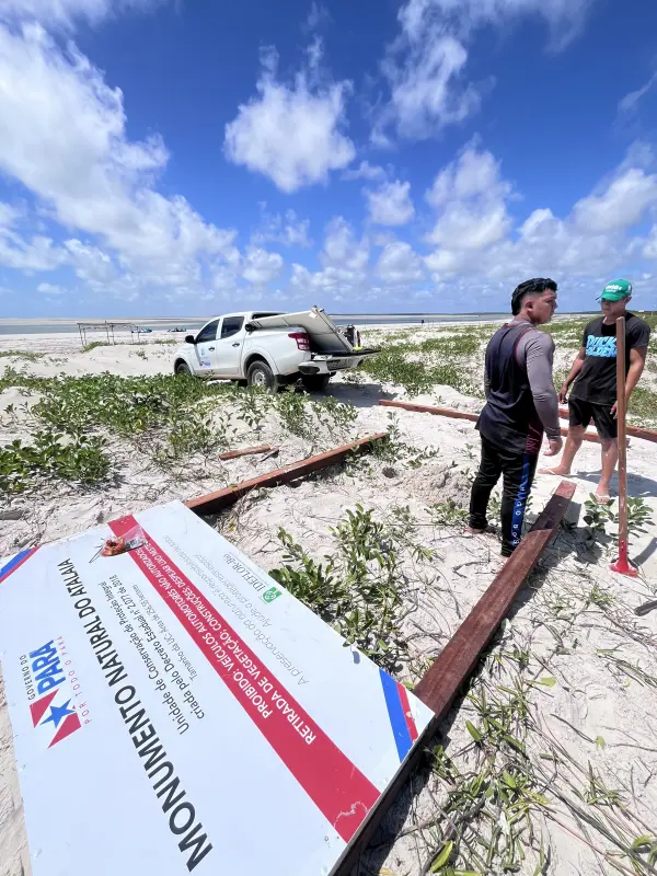 notícia: Sinalização reforçada protege área de desova de tartarugas na Praia do Atalaia, em Salinópolis