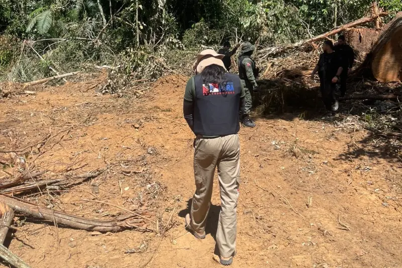 notícia: Equipes integrada da Operação Curupira atuam em focos de desmatamento na região de São Félix do Xingu