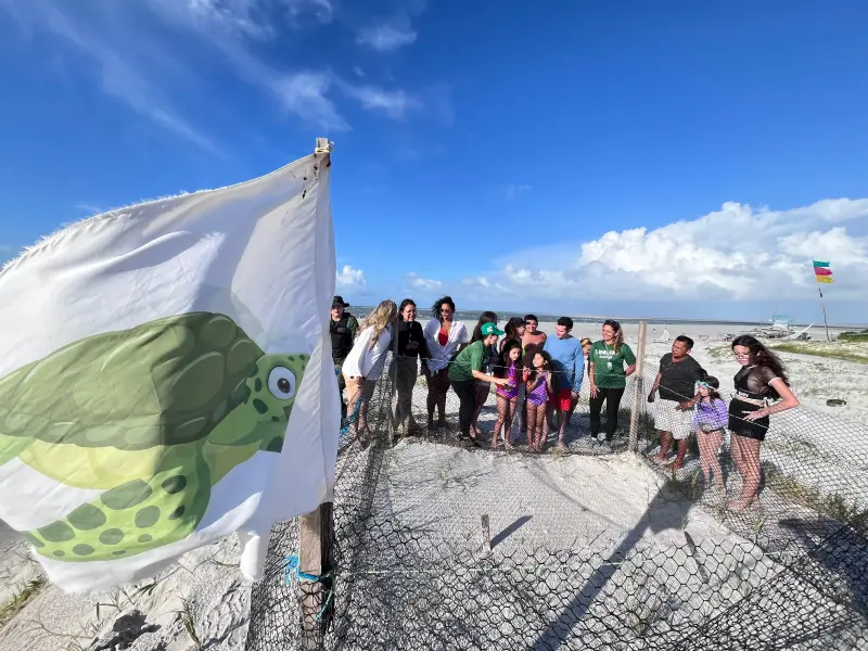 notícia: Famílias visitam berçário de tartarugas em ação de educação ambiental em Salinas