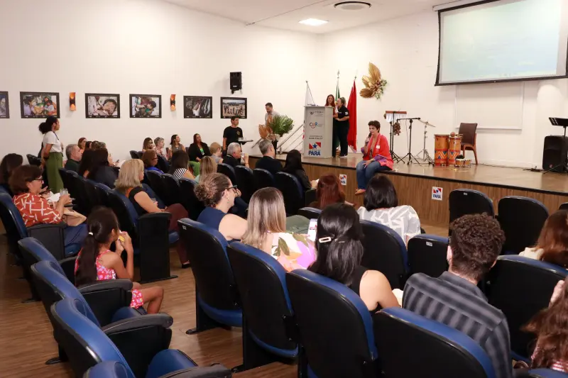 notícia: CIIR sedia encerramento da Câmara Técnica de Atenção à Saúde do Conass em Belém