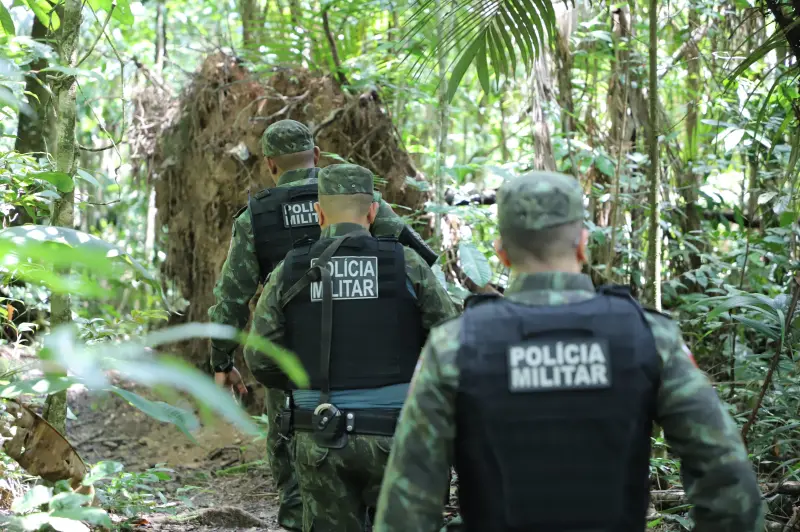 notícia: Polícia Militar é linha de frente na proteção das florestas