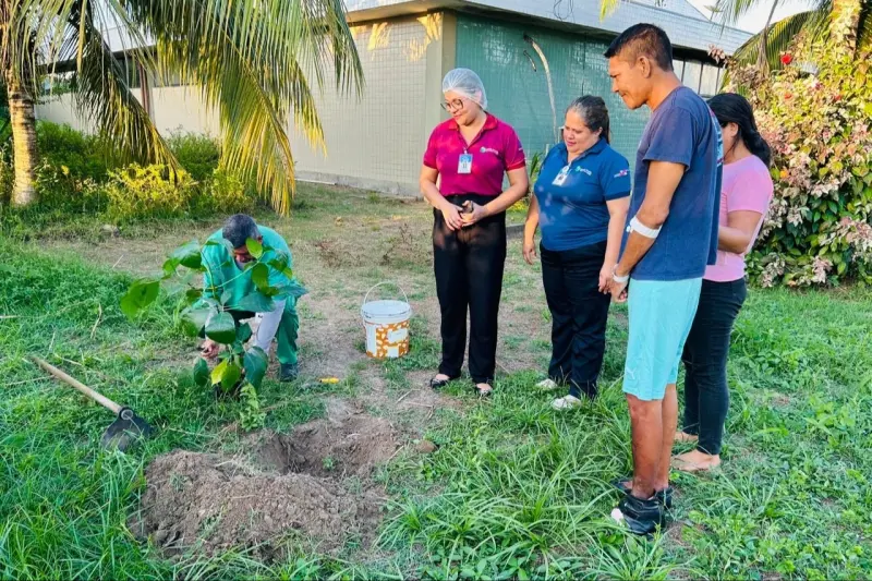 notícia: HRPM promove ação de preservação ambiental para pacientes de longa permanência