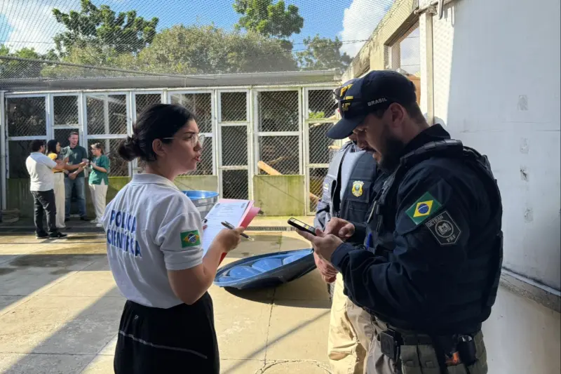 notícia: Polícia Científica pericia 35 animais apreendidos em barreira da PRF em Castanhal