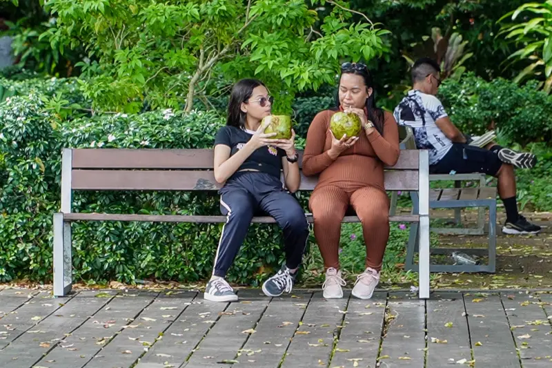 notícia: Parque do Utinga é opção de lazer durante a semana para quem busca tranquilidade