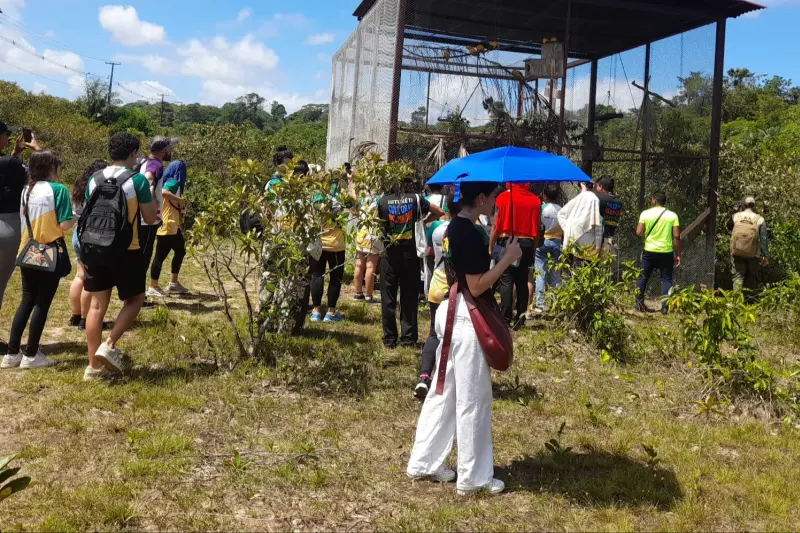 notícia: Juventude empreendedora conhece Projeto Ararajubas e biodiversidade amazônica no Parque Estadual do Utinga
