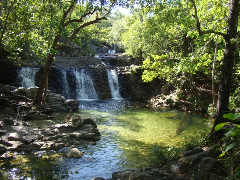notícia: Nova trilha valoriza biodiversidade e saberes tradicionais na Serra das Andorinhas