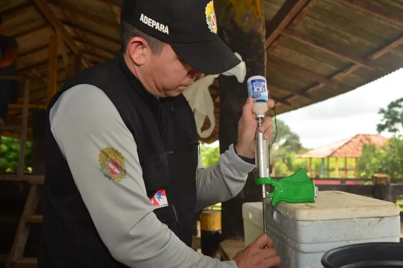 notícia: Adepará destaca prazo final para vacinação obrigatória contra a raiva em 50 municípios 